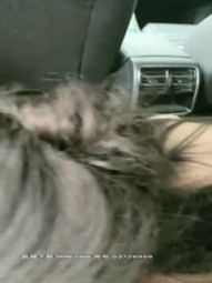 Avove hairless fat coquettish woman driving outdoor car shock, warped buttocks twist fingers buckle licking forced oral sex, pumping in the upper riding fiercely exercise