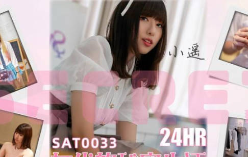 SA International Media SAT0033 The Private Life of Twenty-Four Hour Actress