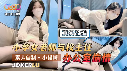 Amateur homemade kitten real adaptation: elementary school female teacher and the principal's office affair
