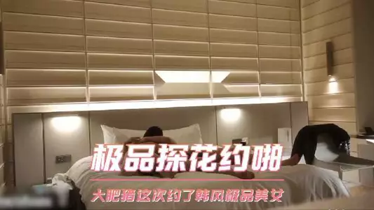 The best tanhua is having sex, the big fat pig is having sex with a Korean style beauty