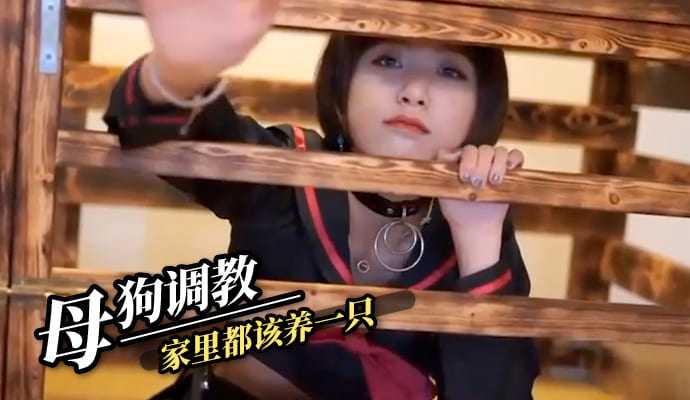 Bitch training should be kept in every home