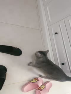 Bitch is Sao, all kinds of props, emotional clothing petite body and thick penis combination contrast is very big 8.