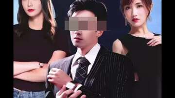 Reborn, I'm not licking a dog.