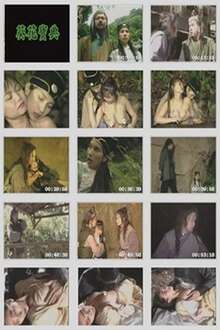 Sunflower Treasure Book