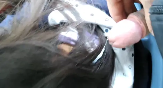 @ 20208689021 User Upload: Bus Shoot Series