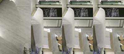 Sparrow flying 0809 20200211.