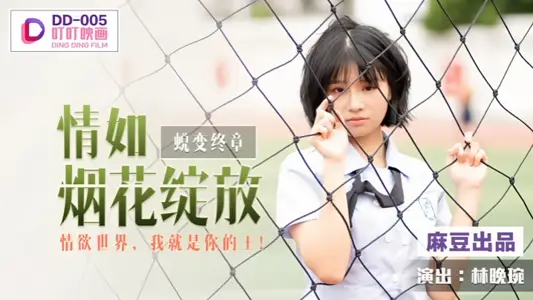 DD005 Metamorphosis Final Chapter Feelings Like Fireworks Blooming Lin Wanwan
