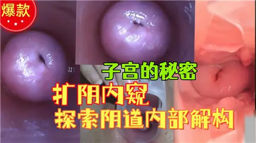 Exploring the internal structure of the vagina by the secret of the uterus.