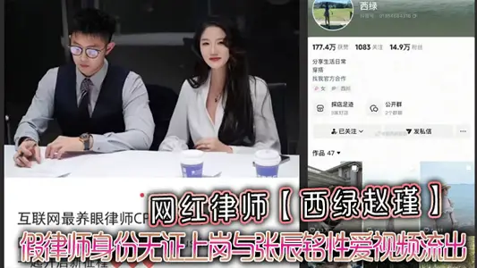 Net Red Lawyer [Xi Lu Zhao Jin] One Set up Collapse, False Lawyer Identity, Undocumented Work and Zhang Chenming Sex Video Outflow