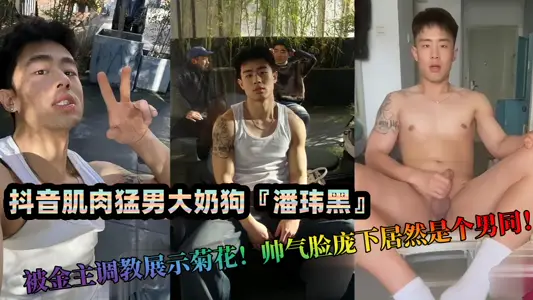 Shake the voice muscle macho man big milk dog 