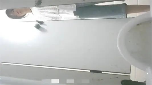 After taking a new panoramic view of the toilet, 3