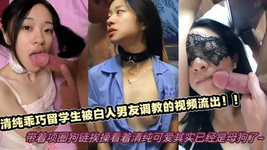 Pure and clever foreign students were taught by white boyfriends!! With a collar and a dog chain, she looks pure and lovely, but she is already a bitch ~